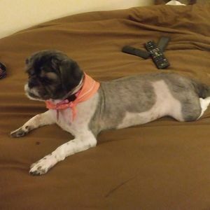 Meet your Posher, Eric